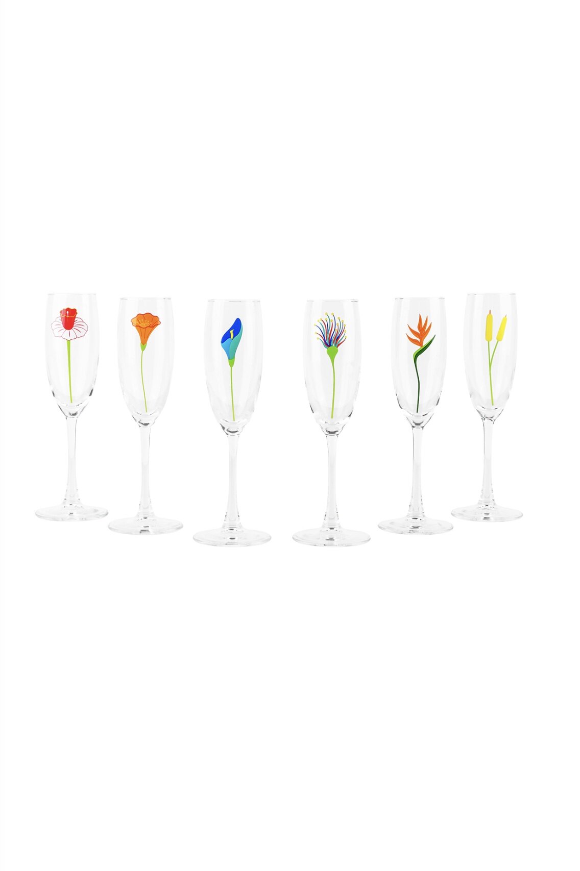 Set van 6 Champagneglazen - Champ de fleurs Tulipes