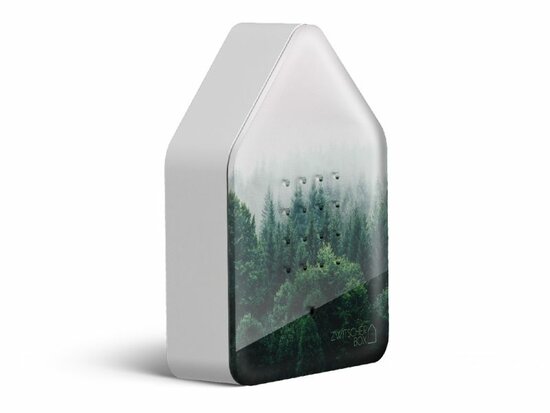 Zwitscherbox Limited Edition Fall 25 Morning Forest