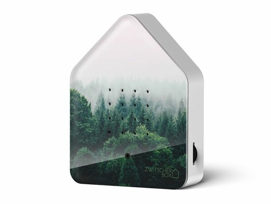 Zwitscherbox Limited Edition Fall 25 Morning Forest