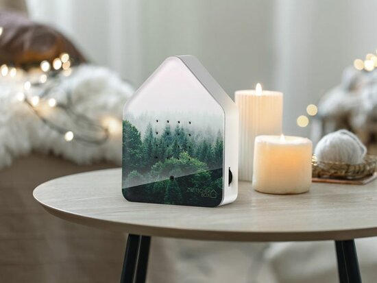 Zwitscherbox Limited Edition Fall 25 Morning Forest