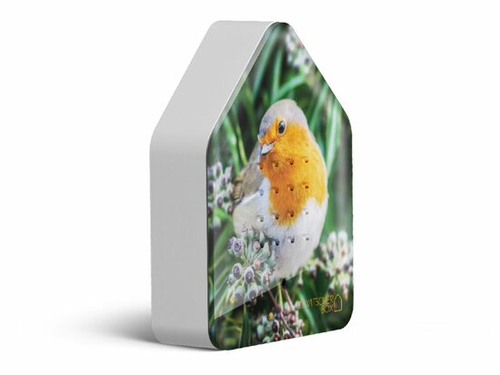 Zwitscherbox Limited Edition Fall 25 Robin Redbreast