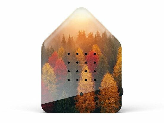 Zwitscherbox Limited Edition Fall 25 Golden Leaves