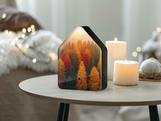 Zwitscherbox Limited Edition Fall 25 Golden Leaves
