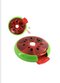 Spin Doctor - 7 day pillbox - 7 dagen pillendoos Pasteque Watermeloen