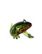 Glass Figure Frog Kikker