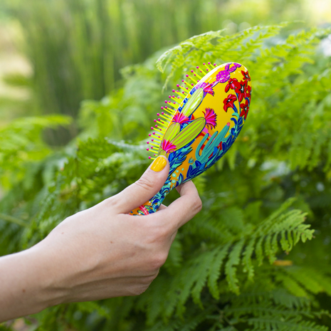 Haarborstel Cactus. Ladypop Hairbrush.