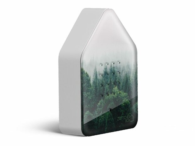 Zwitscherbox Limited Edition Fall 25 Morning Forest