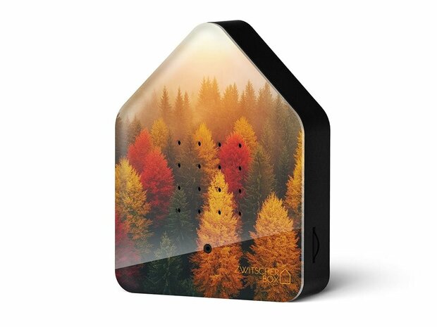 Zwitscherbox Limited Edition Fall 25 Golden Leaves