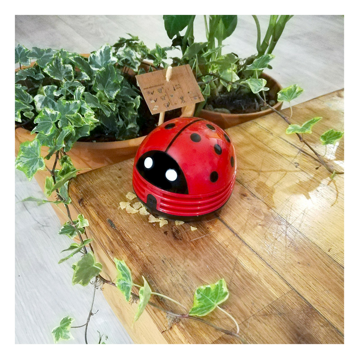 Tafelstofzuiger Ladybir