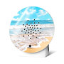 Oceanbox Surfen