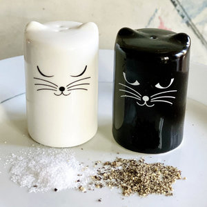 Zout en Peper Shaker Cat Pylones
