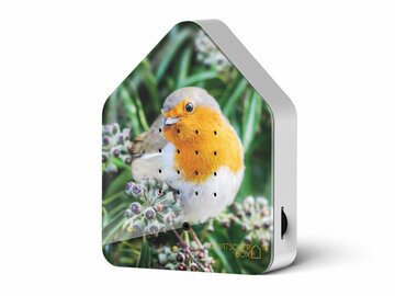 Zwitscherbox Limited Edition Fall 25 Robin Redbreast